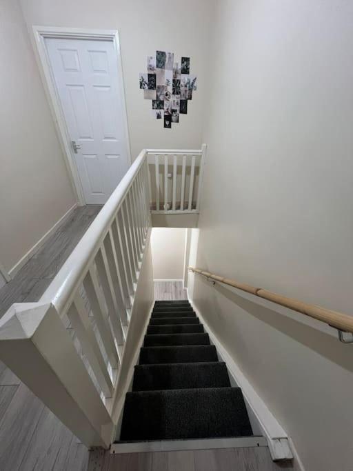 Haven - Beautiful 3 Bedroom House Ballynahinch Zewnętrze zdjęcie