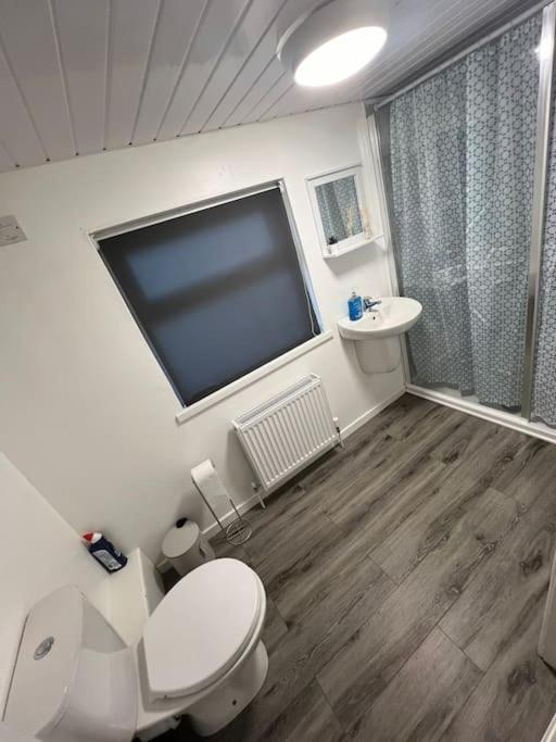 Haven - Beautiful 3 Bedroom House Ballynahinch Zewnętrze zdjęcie