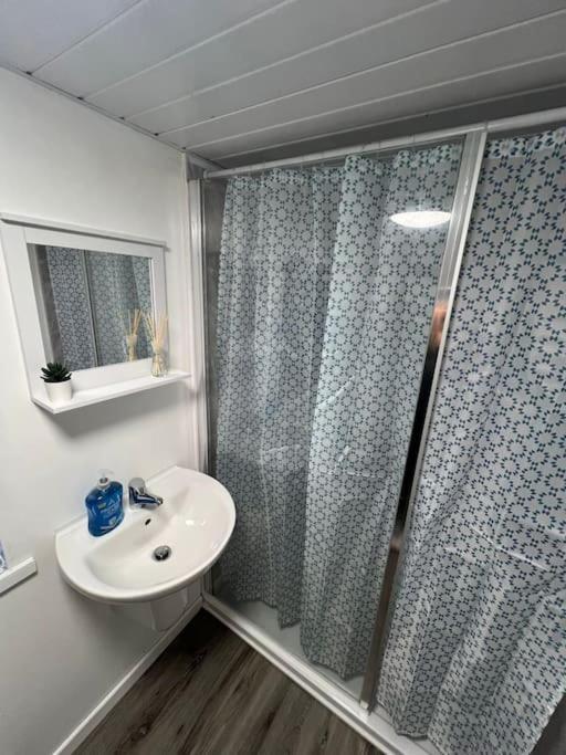 Haven - Beautiful 3 Bedroom House Ballynahinch Zewnętrze zdjęcie